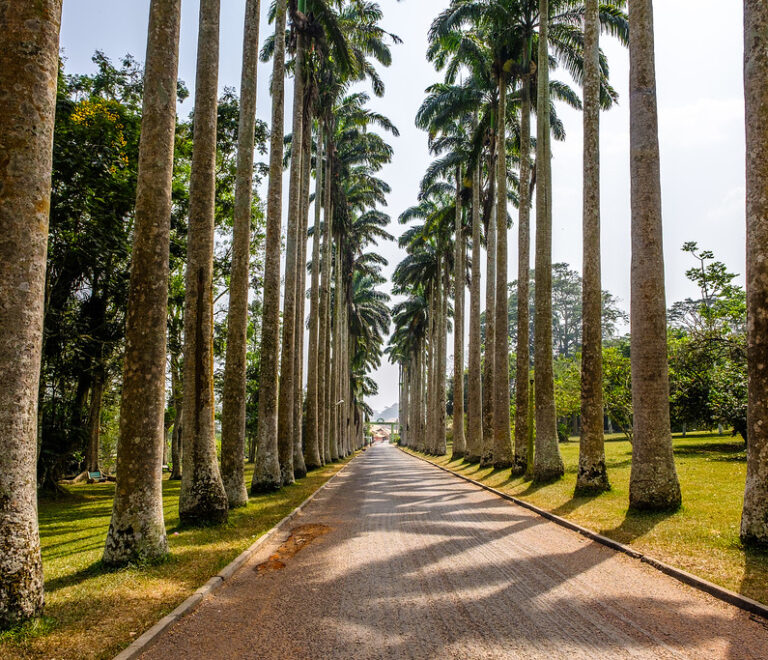 Aburi Gardens, Easter Region 